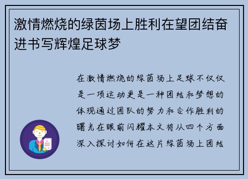 激情燃烧的绿茵场上胜利在望团结奋进书写辉煌足球梦