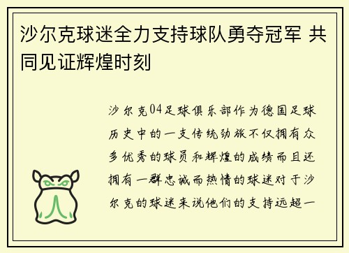 沙尔克球迷全力支持球队勇夺冠军 共同见证辉煌时刻